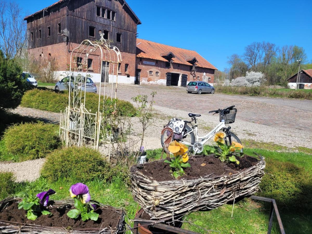 Agroturystyka "Palac W Janowie" Bagian luar foto