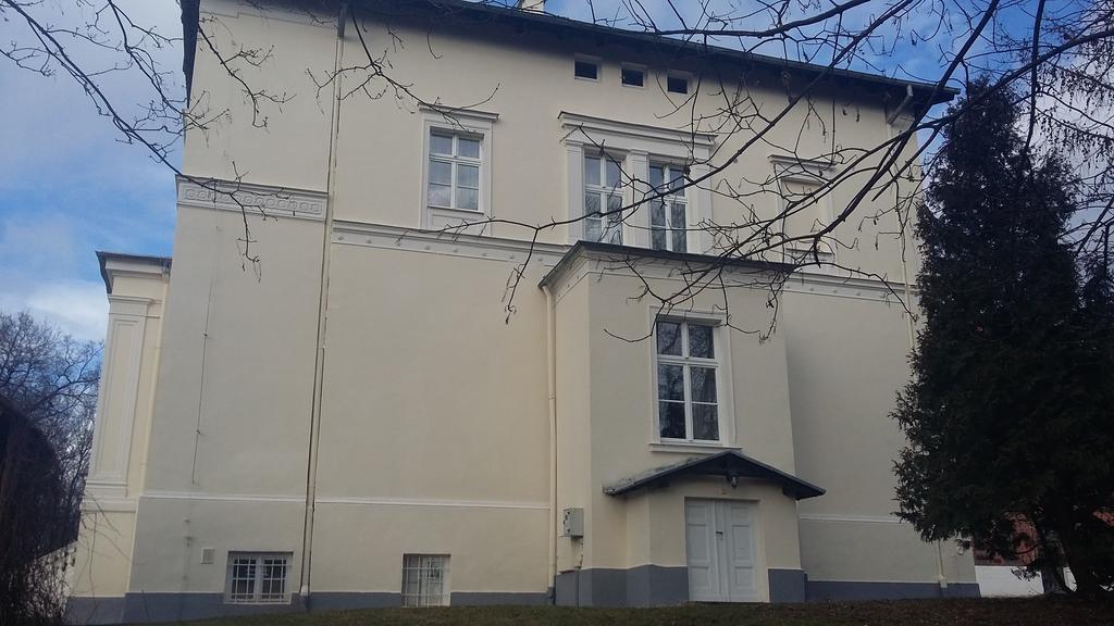 Agroturystyka "Palac W Janowie" Bagian luar foto