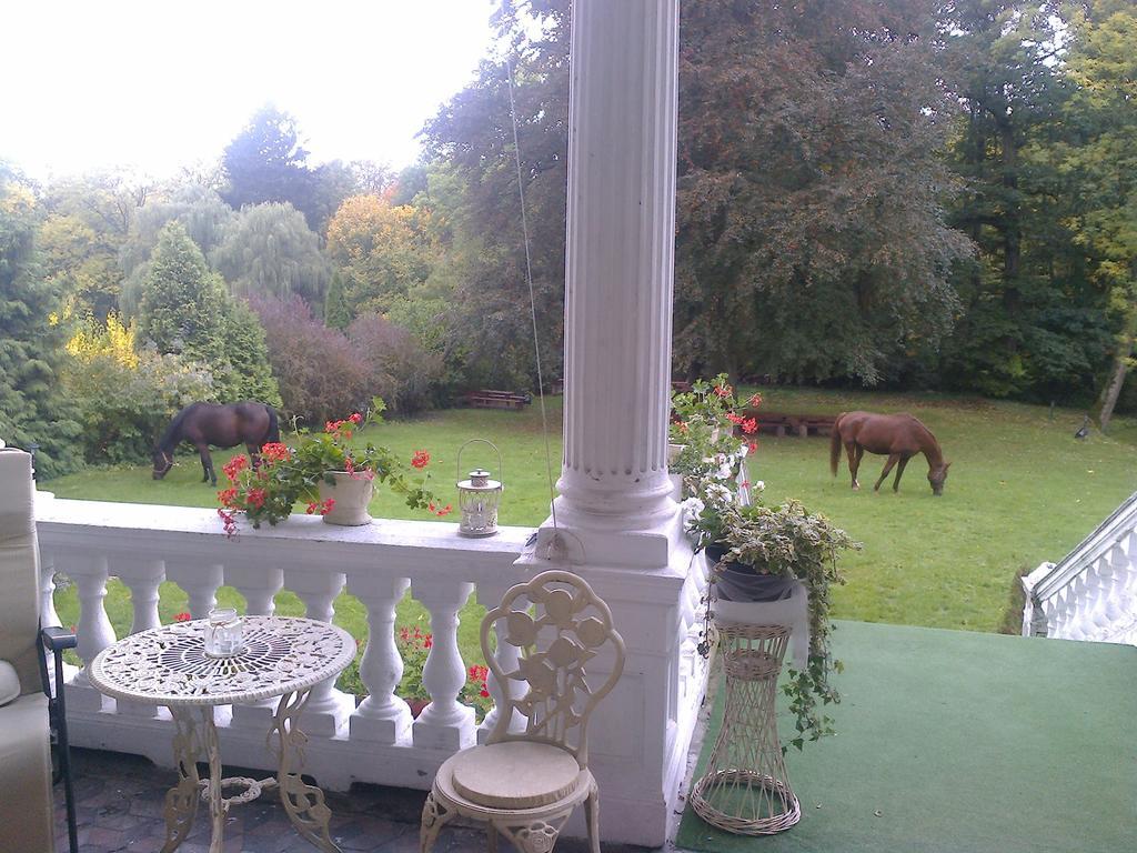 Agroturystyka "Palac W Janowie" Ruang foto